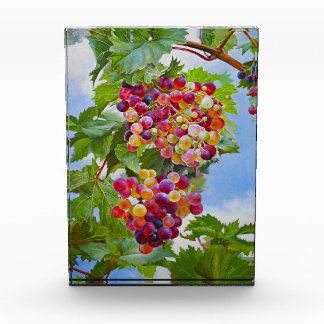 Sunny Grapevine – Colorful Grapes Still Life Paint Photo Block