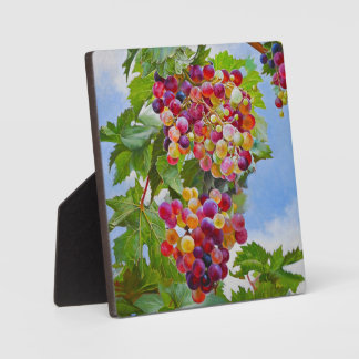 Sunny Grapevine – Colorful Grapes Still Life Paint Plaque