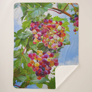 Sunny Grapevine – Colorful Grapes Still Life Paint Sherpa Blanket