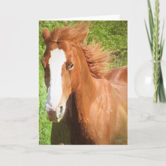 Sunny greeting card