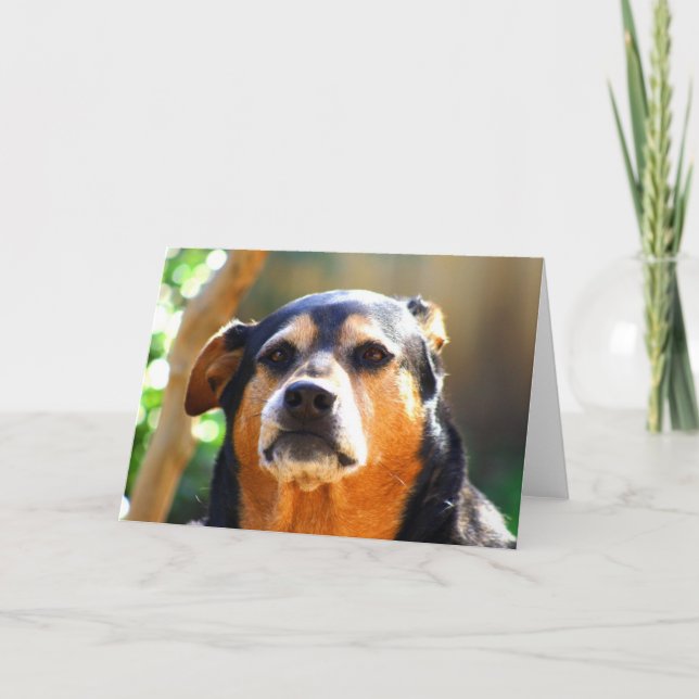 Sunny Grim-face Greeting Card (Front)