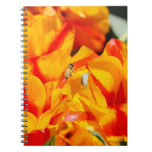 Sunny Honey Bee  Notebook