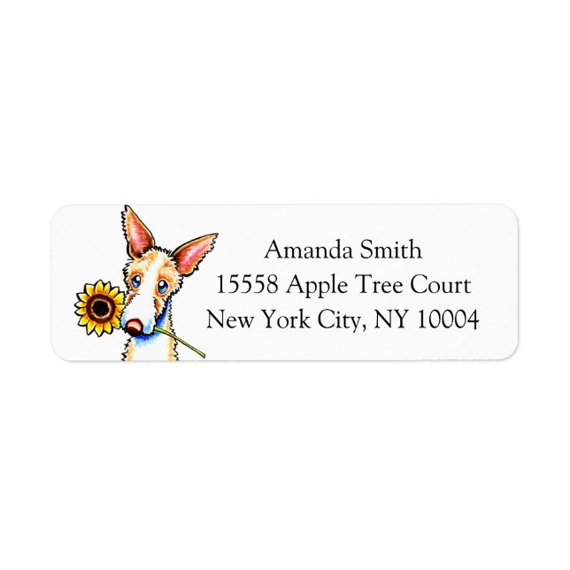 Sunny Ibizan Hound Off-Leash Art™ Custom Label (Front)