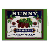 Sunny Loganberry Fruit (Front Horizontal)