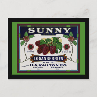 Sunny Loganberry Fruit Postcard