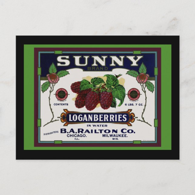 Sunny Loganberry Fruit Postcard (Front)