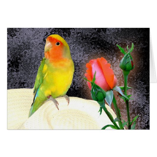 Sunny Lovebird Cards (Front Horizontal)