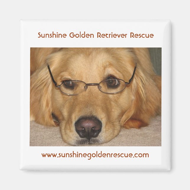Sunny Magnet - Sunshine Golden Retriever Rescue... (Front)