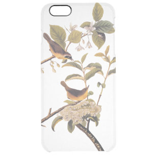 Sunny Maryland Yellowthroat Audubon Bird Pair Clear iPhone 6 Plus Case