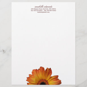 Sunny Orange gerbera daisy flower bloom personal Letterhead