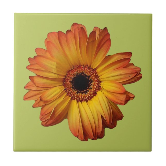 Sunny Orange gerbera flower bloom Ceramic Tile (Front)