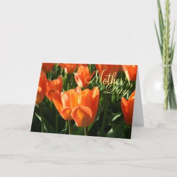 Sunny Orange Tulips Mother's Day Greeting Card by TheHolidayEdge at Zazzle