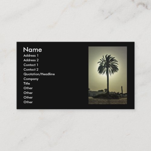 Sunny Palm Business Card