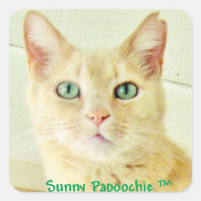 SUNNY PAPOOCHIE STICKERS (Front)