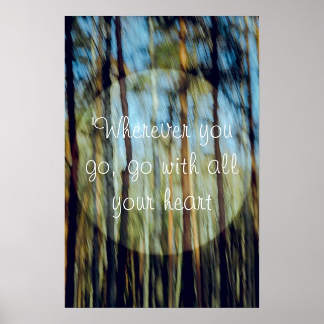 Sunny pine forest poster (Front)