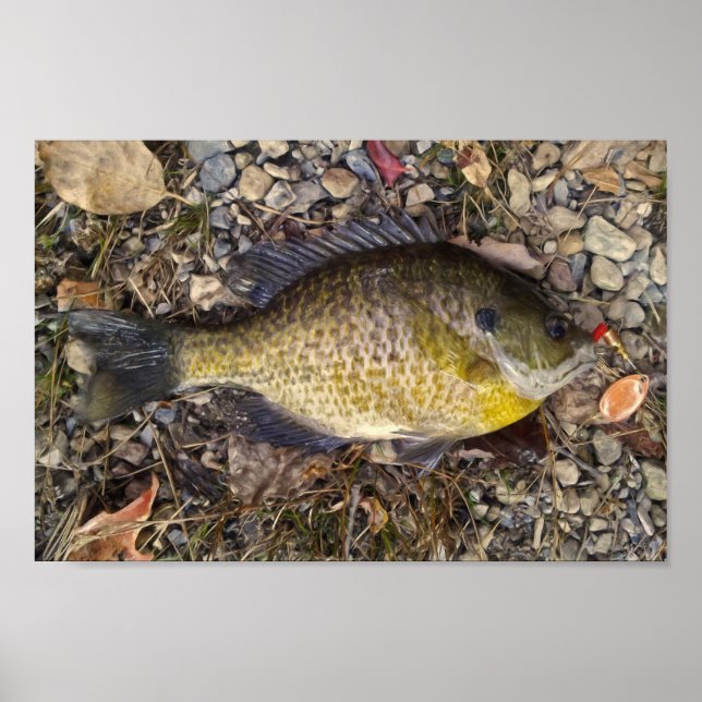 Sunny Poster (Front)