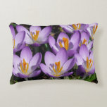 Sunny Purple Crocuses Accent Pillow