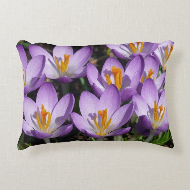 Sunny Purple Crocuses Accent Pillow (Front)