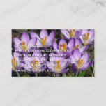 Sunny Purple Crocuses Business Card
