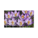 Sunny Purple Crocuses Business Card