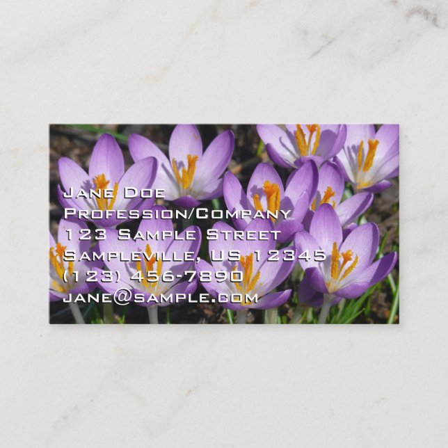 Sunny Purple Crocuses Business Card (Front)