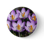 Sunny Purple Crocuses Button