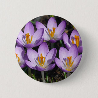 Sunny Purple Crocuses Button