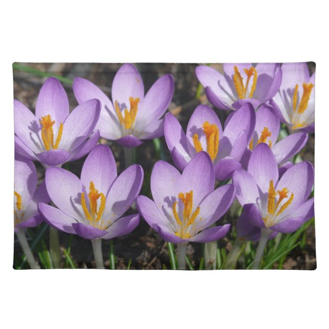 Sunny Purple Crocuses Cloth Placemat (Front)
