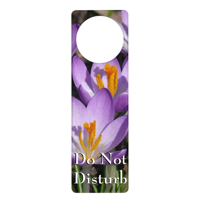 Sunny Purple Crocuses Door Hanger (Front)