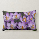 Sunny Purple Crocuses Early Spring Flowers Lumbar Pillow