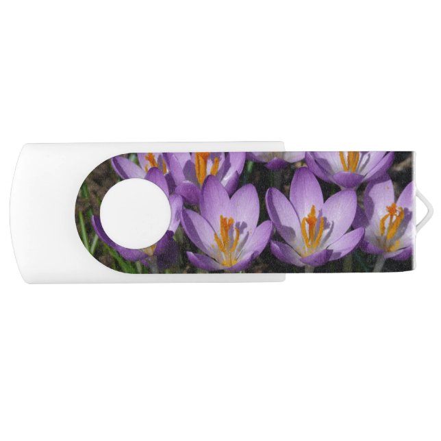 Sunny Purple Crocuses Flash Drive (Front)