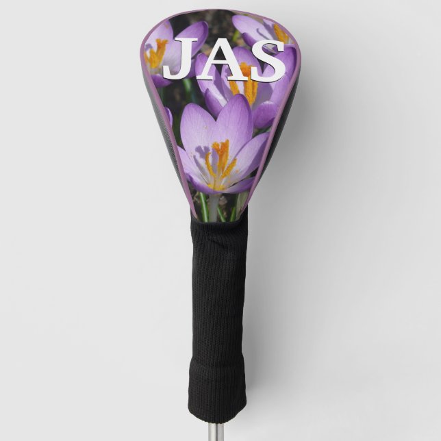 Sunny Purple Crocuses Golf Head Cover (Front)