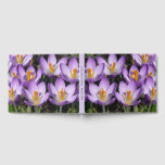 Sunny Purple Crocuses Guest Book
