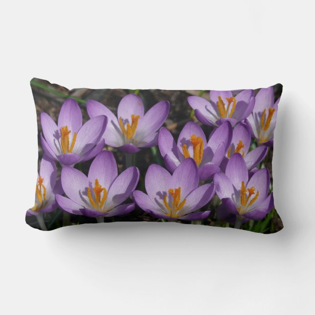 Sunny Purple Crocuses Lumbar Pillow (Front)