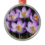 Sunny Purple Crocuses Metal Ornament