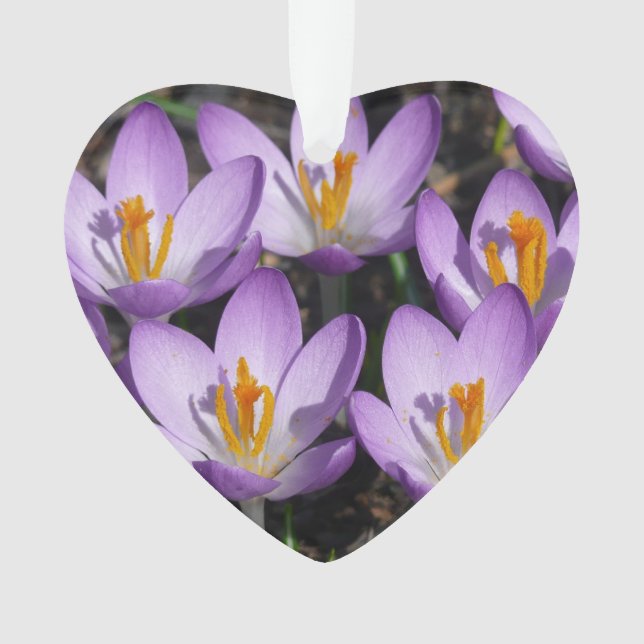 Sunny Purple Crocuses Ornament (Front)