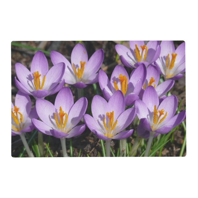 Sunny Purple Crocuses Placemat (Front)