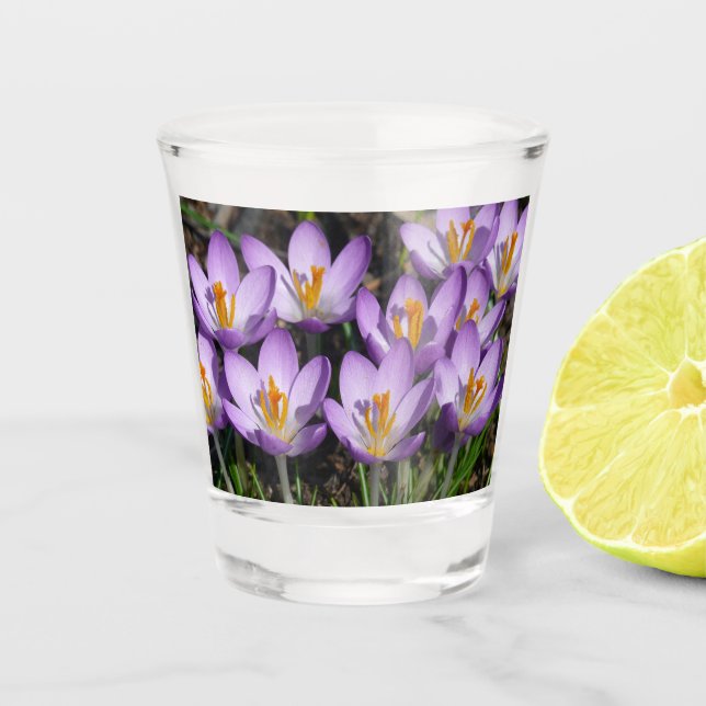 Sunny Purple Crocuses Shot Glass (Front)