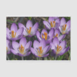 Sunny Purple Crocuses Tissue Paper