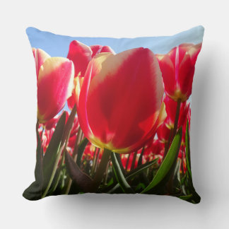 Sunny Red Tulips Close Up Throw Pillow