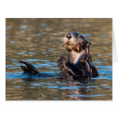 Sunny Sea Otter (Front Horizontal)