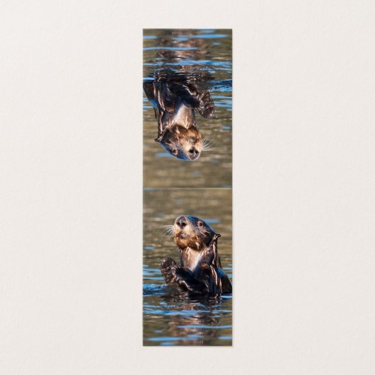 Sunny Sea Otter (Outside Unfolded)