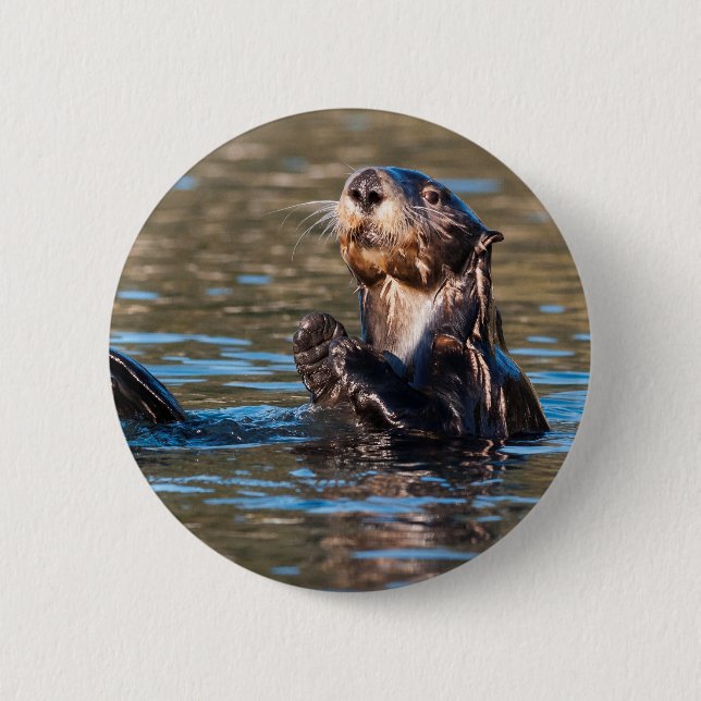 Sunny Sea Otter Button (Front)