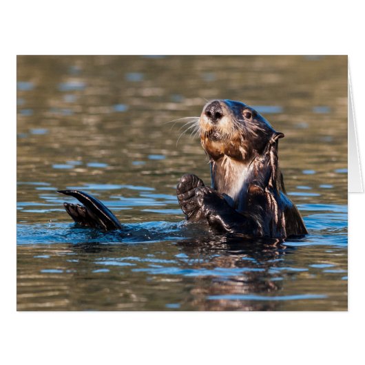 Sunny Sea Otter Cards (Front Horizontal)
