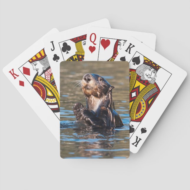 Sunny Sea Otter Poker Cards (Back)