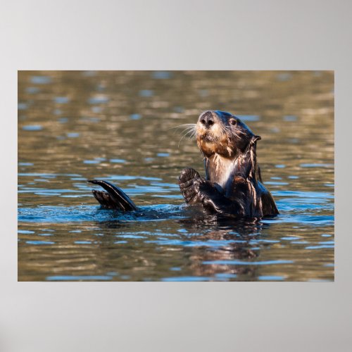 Sunny Sea Otter Poster