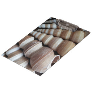Sunny Seashells, Clipboard, Summer Beach, Nature Clipboard