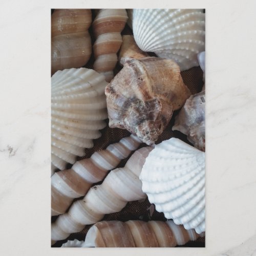 Sunny Seashells Collection Nature Summer Stationery