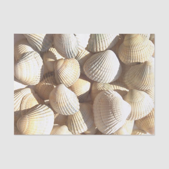 Sunny Seashells Collection, Summer Beach, Tissue Tissue Paper (Front)