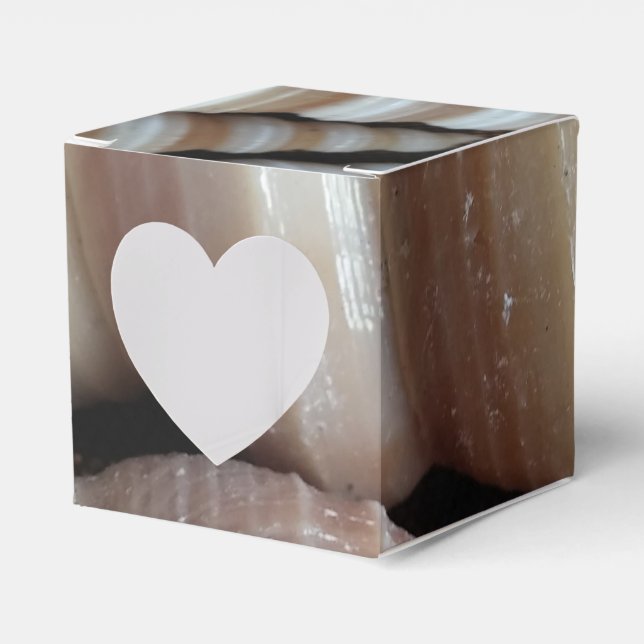 Sunny Seashells Favor Box, Summer Beach Wedding Boxes (Front Side)